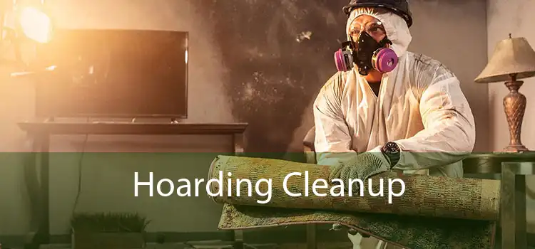 Hoarding Cleanup 