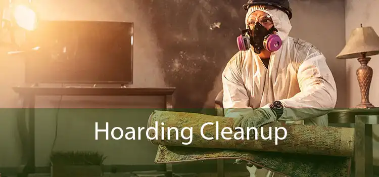 Hoarding Cleanup