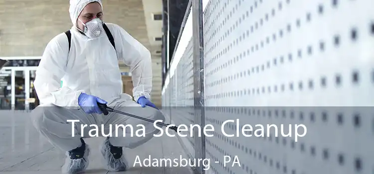 Trauma Scene Cleanup Adamsburg - PA