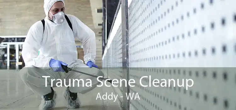 Trauma Scene Cleanup Addy - WA