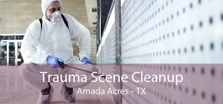 Trauma Scene Cleanup Amada Acres - TX