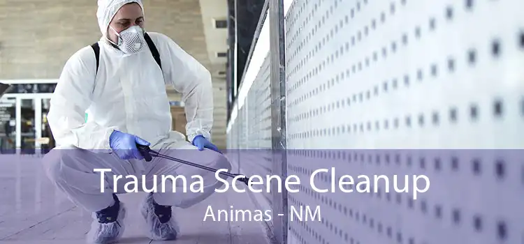 Trauma Scene Cleanup Animas - NM