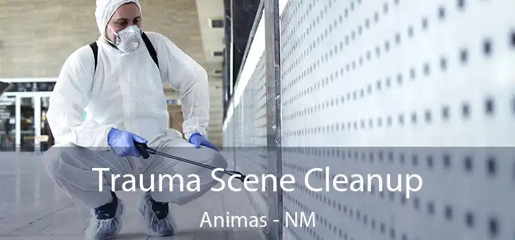  Trauma Scene Cleanup Animas - NM