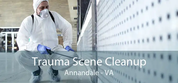 Trauma Scene Cleanup Annandale - VA