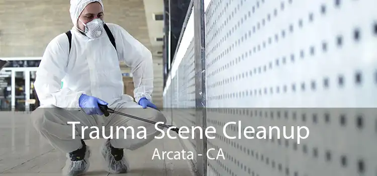 Trauma Scene Cleanup Arcata - CA