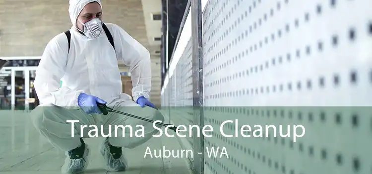 Trauma Scene Cleanup Auburn - WA