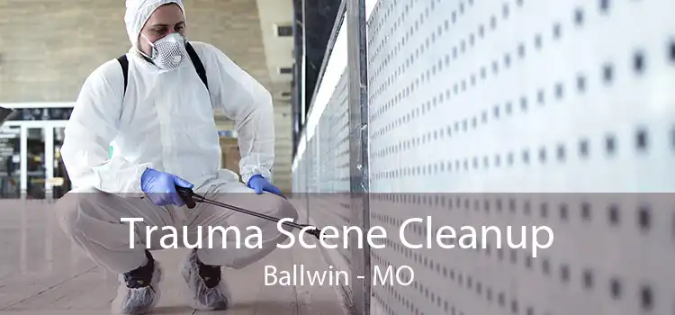 Trauma Scene Cleanup Ballwin - MO