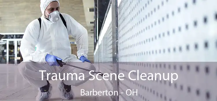 Trauma Scene Cleanup Barberton - OH