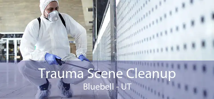 Trauma Scene Cleanup Bluebell - UT