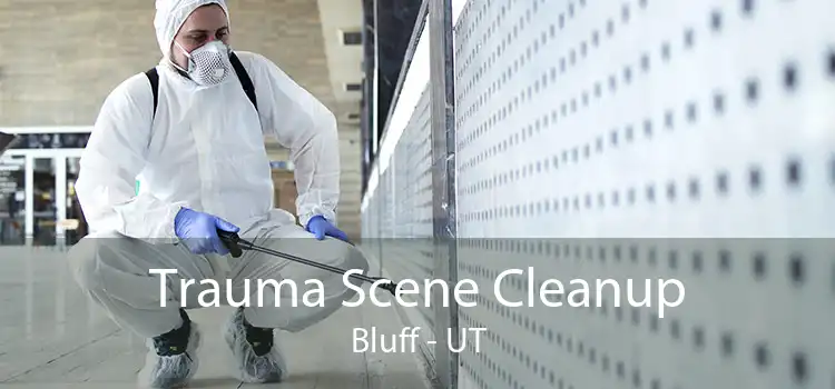 Trauma Scene Cleanup Bluff - UT
