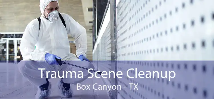 Trauma Scene Cleanup Box Canyon - TX