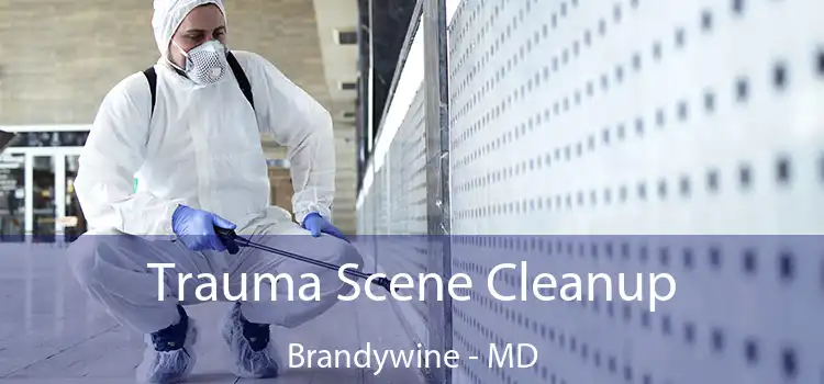  Trauma Scene Cleanup Brandywine - MD