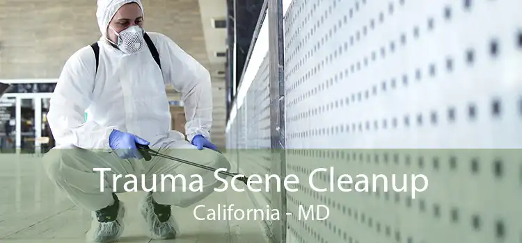 Trauma Scene Cleanup California - MD