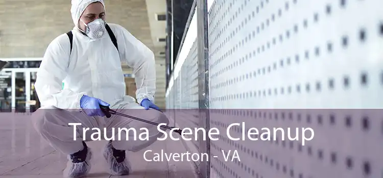 Trauma Scene Cleanup Calverton - VA