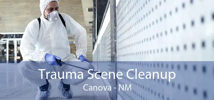 Trauma Scene Cleanup Canova - NM