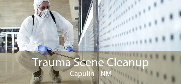 Trauma Scene Cleanup Capulin - NM
