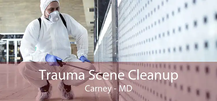 Trauma Scene Cleanup Carney - MD