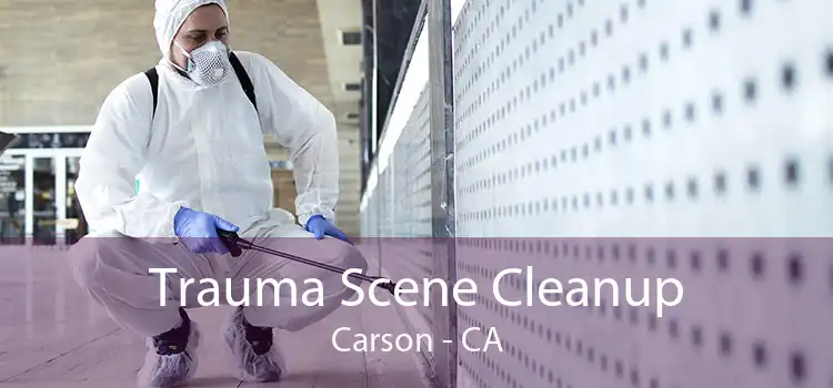 Trauma Scene Cleanup Carson - CA