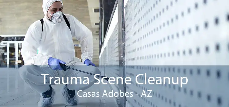 Trauma Scene Cleanup Casas Adobes - AZ