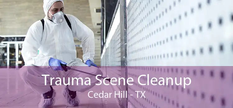 Trauma Scene Cleanup Cedar Hill - TX