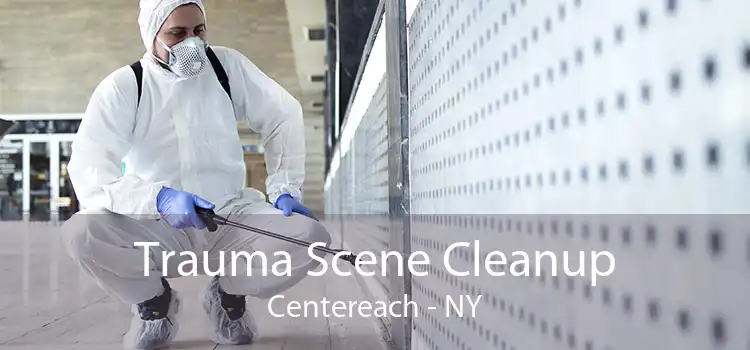 Trauma Scene Cleanup Centereach - NY
