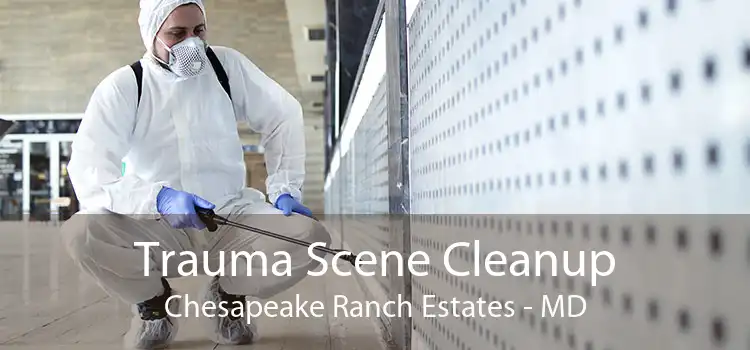 Trauma Scene Cleanup Chesapeake Ranch Estates - MD