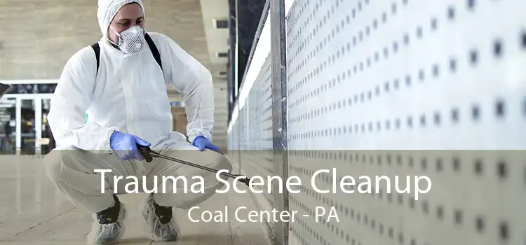Trauma Scene Cleanup Coal Center - PA