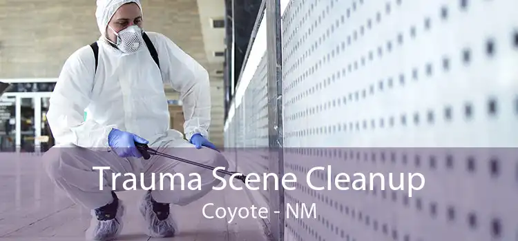Trauma Scene Cleanup Coyote - NM