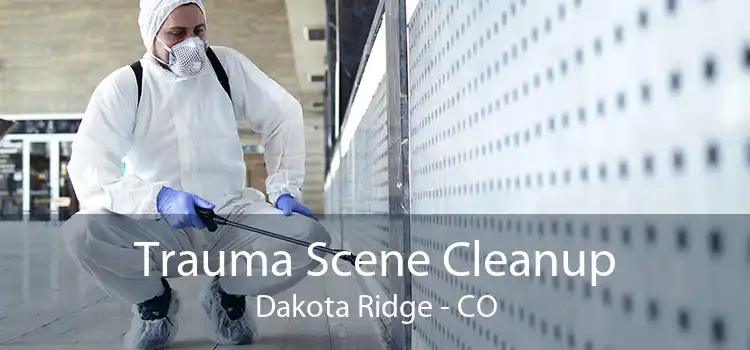Trauma Scene Cleanup Dakota Ridge - CO