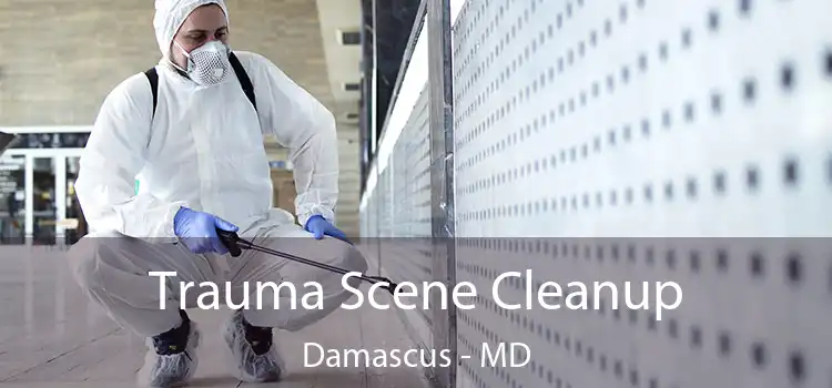  Trauma Scene Cleanup Damascus - MD