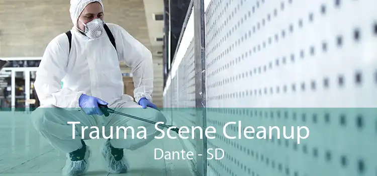 Trauma Scene Cleanup Dante - SD