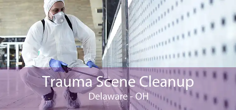 Trauma Scene Cleanup Delaware - OH