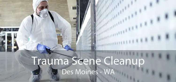 Trauma Scene Cleanup Des Moines - WA