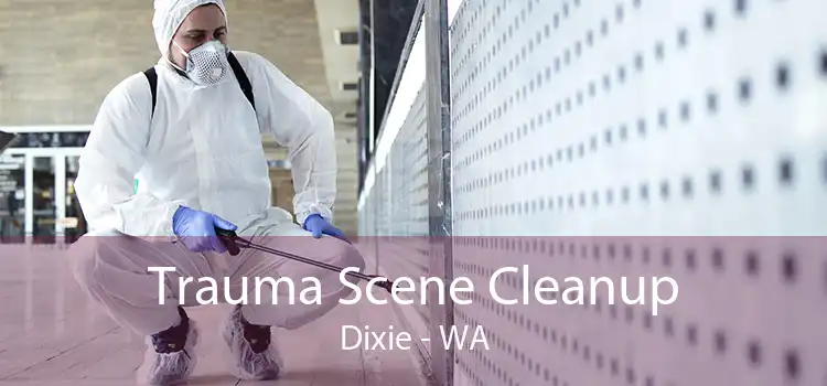Trauma Scene Cleanup Dixie - WA
