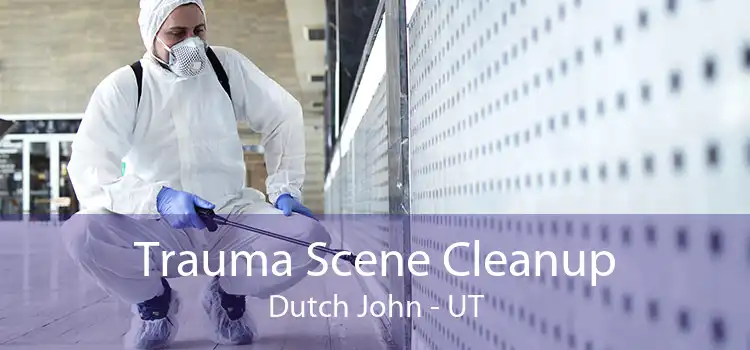 Trauma Scene Cleanup Dutch John - UT
