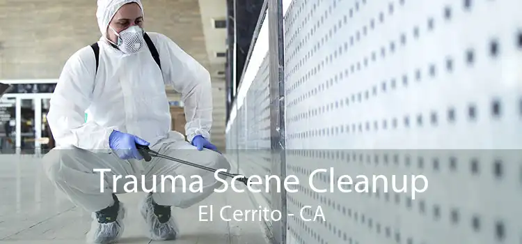 Trauma Scene Cleanup El Cerrito - CA
