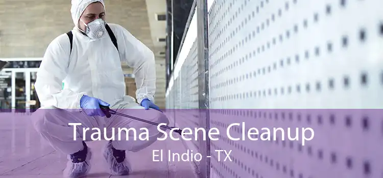 Trauma Scene Cleanup El Indio - TX