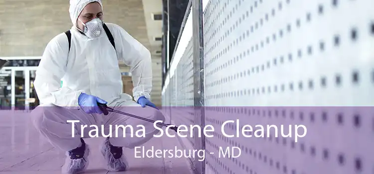 Trauma Scene Cleanup Eldersburg - MD