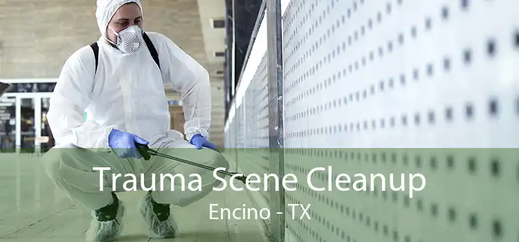 Trauma Scene Cleanup Encino - TX