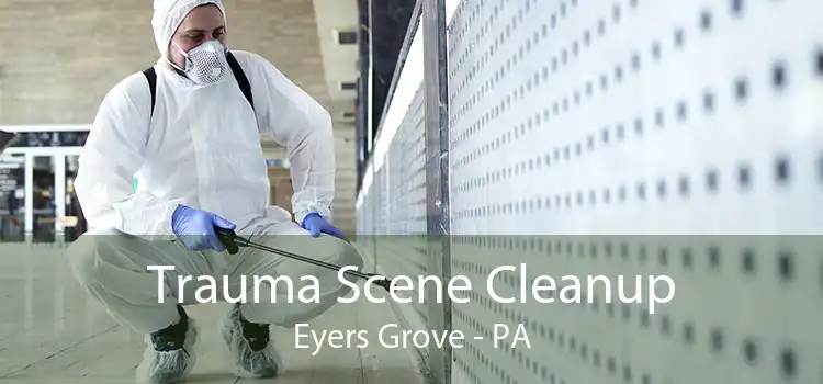 Trauma Scene Cleanup Eyers Grove - PA