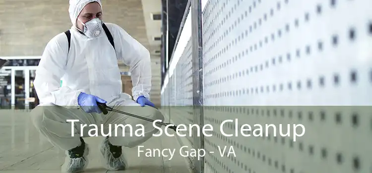 Trauma Scene Cleanup Fancy Gap - VA