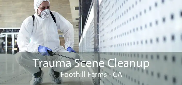 Trauma Scene Cleanup Foothill Farms - CA