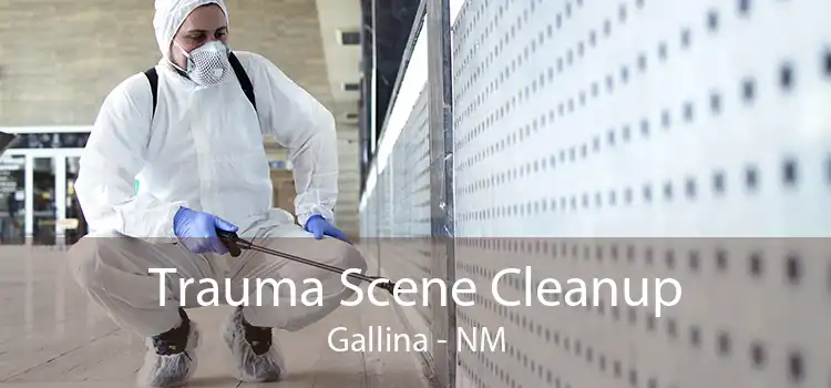 Trauma Scene Cleanup Gallina - NM