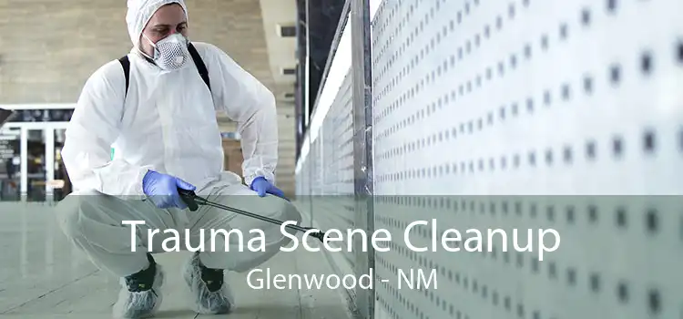 Trauma Scene Cleanup Glenwood - NM