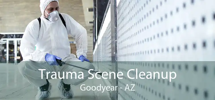 Trauma Scene Cleanup Goodyear - AZ