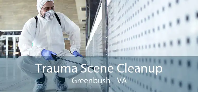 Trauma Scene Cleanup Greenbush - VA