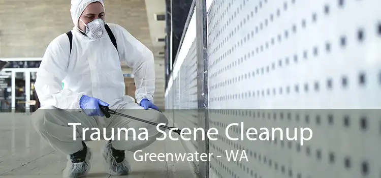 Trauma Scene Cleanup Greenwater - WA