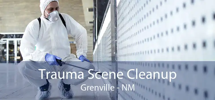 Trauma Scene Cleanup Grenville - NM