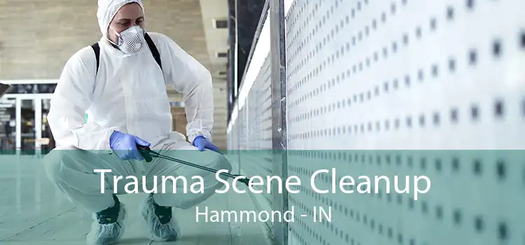 Trauma Scene Cleanup Hammond - IN