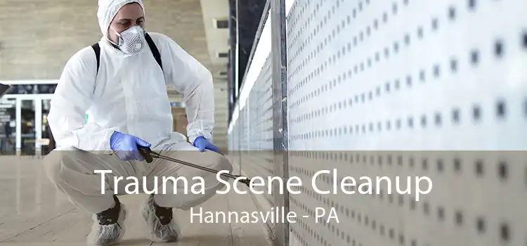 Trauma Scene Cleanup Hannasville - PA